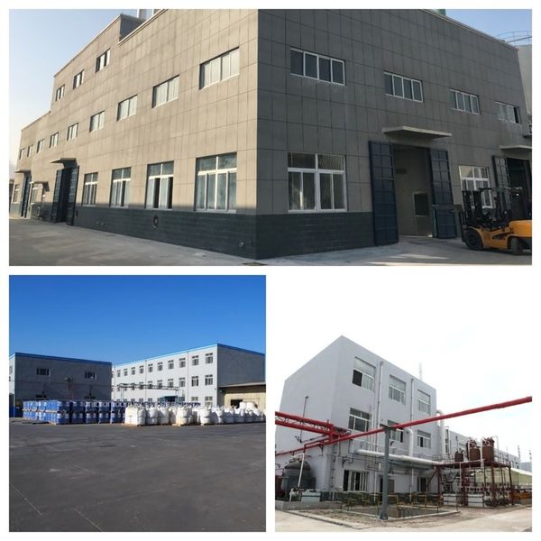 চীন Shandong Jiuchong Chemical Co., Ltd. সংস্থা প্রোফাইল